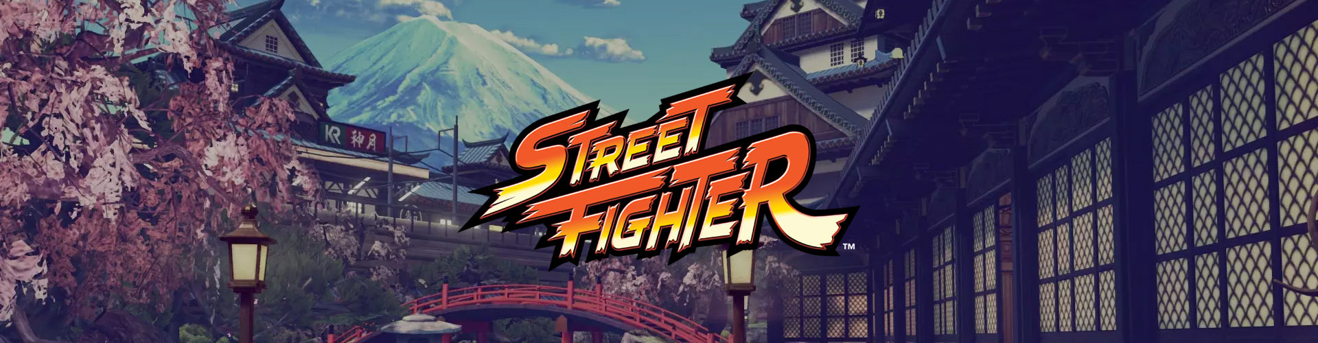 Street Fighter